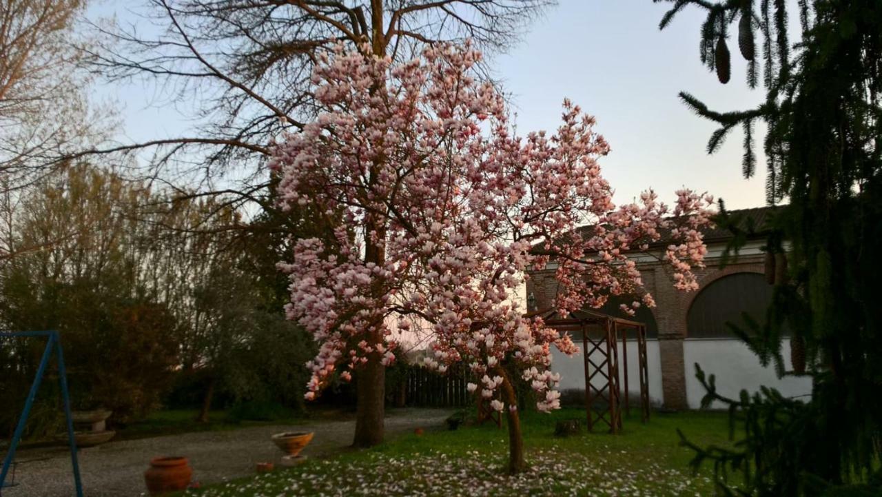 Agriturismo Cipolli E Podo Corte Carlini Mantova Luaran gambar