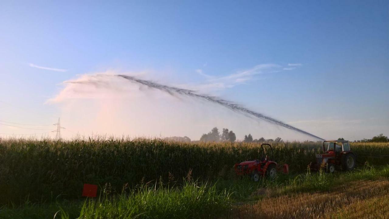 Agriturismo Cipolli E Podo Corte Carlini Mantova Luaran gambar