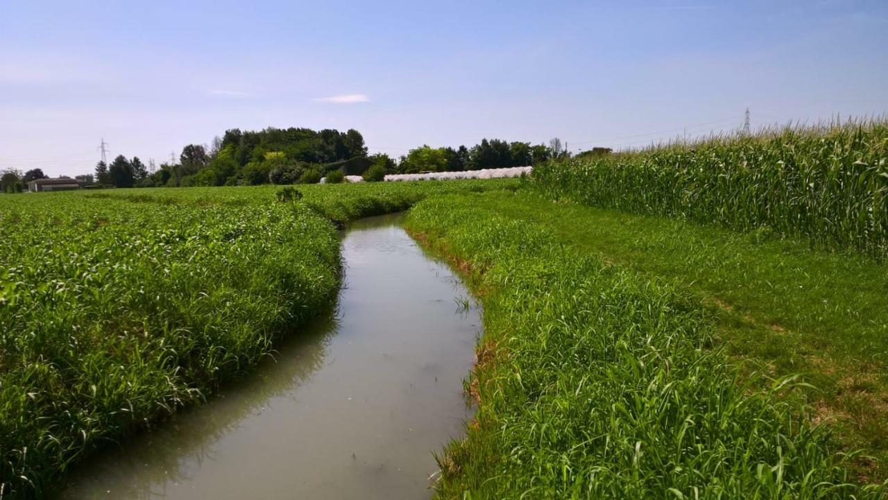 Agriturismo Cipolli E Podo Corte Carlini Mantova Luaran gambar