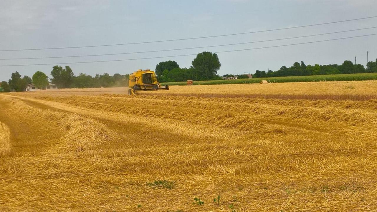 Agriturismo Cipolli E Podo Corte Carlini Mantova Luaran gambar
